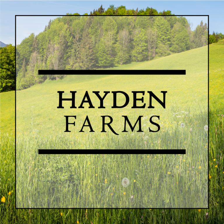 Hayden Farms Smithbilt Homes