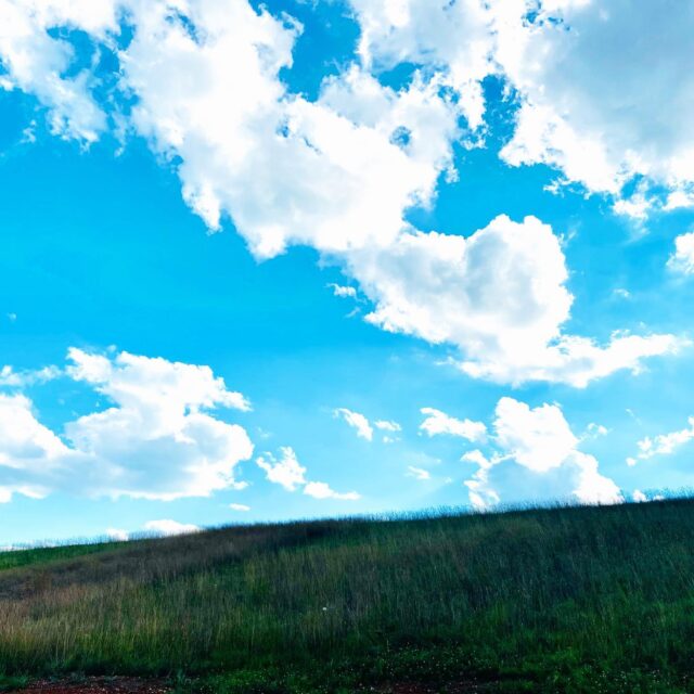 It sure is pretty in here in East Tennessee! This is Smithbilt’s Copeland Heights in Powell - call me for more information! 865-680-3963
#kimarkansassouthlandrealtors #smithbilthomes #localrealtor #copelandheightsbysmithbilt